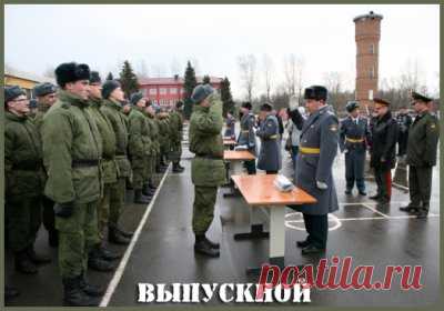 Год в армии