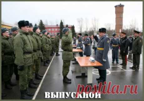 Год в армии