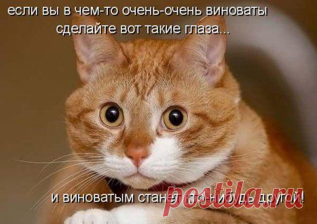 Мой Мир@Mail.Ru