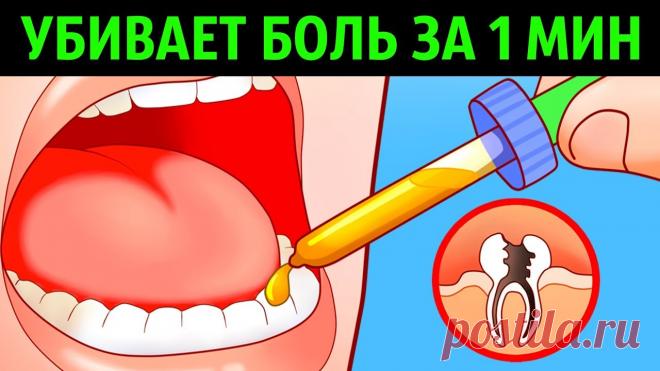 Как_избавиться_от_зубной_боли_без_лекарств Народная медицина — рецепты, советы, способы, cекреты и народные средства.