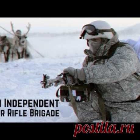 Арктическая мотострелковая бригада 80 ОМСБр