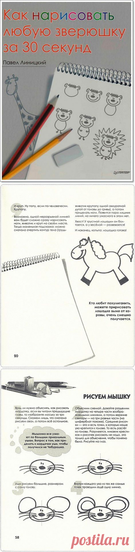 Книга «Как нарисовать любую зверюшку за 30 секунд»..