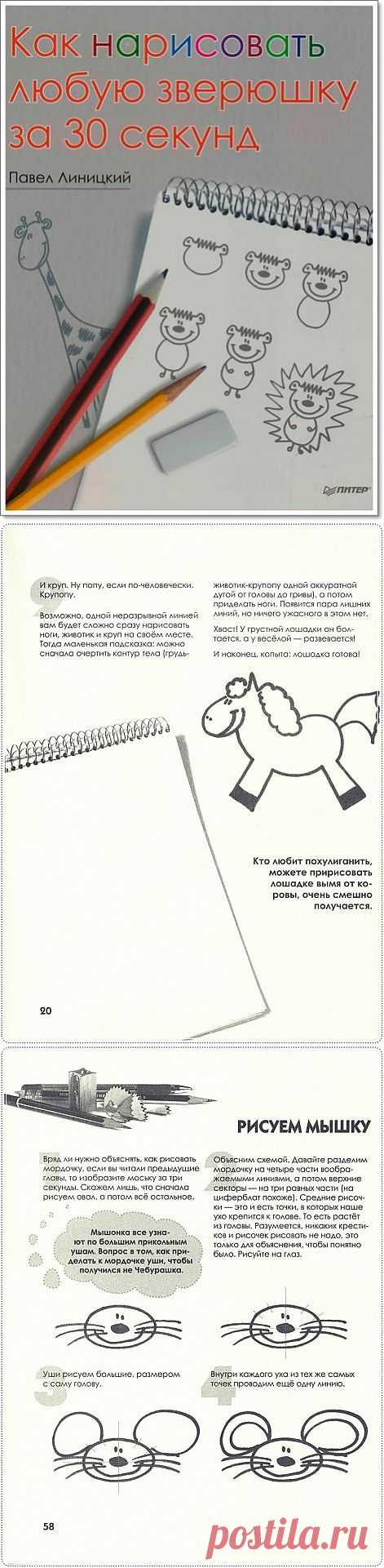 Книга «Как нарисовать любую зверюшку за 30 секунд»..