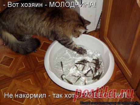 я не гордый... поиграю. поиграю. да и съем...