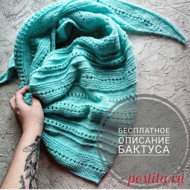 Самый быстрый способ вязания Бактуса (для ленивых) | Вилди | Яндекс Дзен