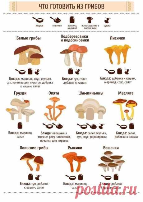 #ХитростиЖизни #рецепты #грибы