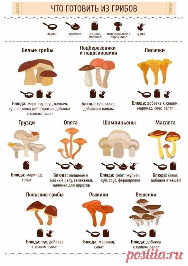 #ХитростиЖизни #рецепты #грибы