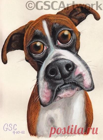 GSC Картина: CARTOONS