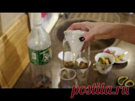 #Мошки дроздофилы. Как избавиться от мух на кухне. #Лайфхак.