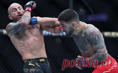 Топурия поднялся на пятое место в рейтинге лучших бойцов UFC. Новый чемпион UFC в полулегком весе 18 февраля нокаутировал австралийца Александра Волкановски. Теперь он дебютировал в рейтинге лучших бойцов UFC вне зависимости от весовых категорий, где лидирует россиянин Ислам Махачев