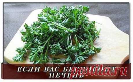 Если вас беспокоит печень, вы живете в неблагоприятных экологических условиях, часто болеете...
Тогда данный рецепт может вам пригодится.
Приготовленная вами по рецепту смесь расщепляет жиры (особенно вокруг печени), уменьшает аппетит, обладает мочегонными, противовирусными, противогрибковыми свойствами, позволяет сбросить пару-тройку лишних килограммов, укрепляет иммунитет, очищает, "растворяет" камни в почках и желчном пузыре, омолаживает кожу.
Что нужно делать. 
* Тщательно измельчаем (пр