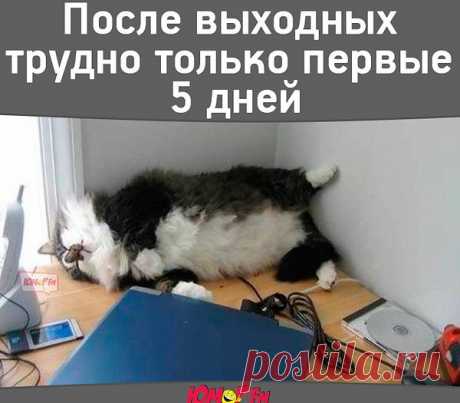 ДОБРОЕ УТРО,ДРУЗЬЯ!!!
ЧУДЕСНОГО НАСТРОЕНИЯ!!!