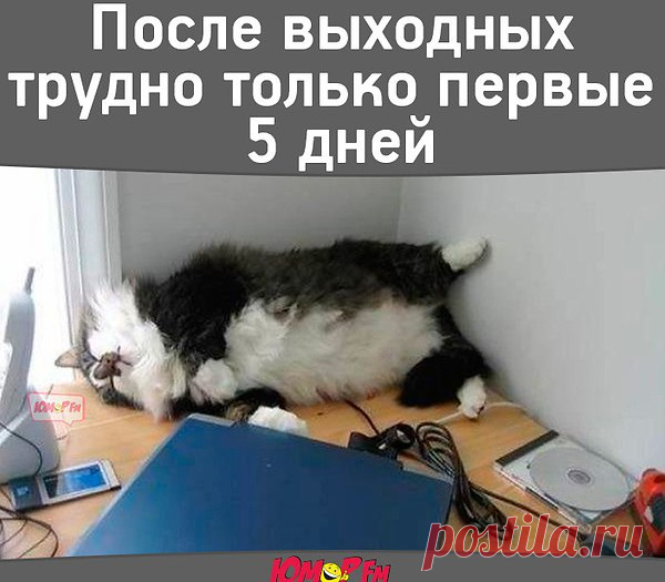 ДОБРОЕ УТРО,ДРУЗЬЯ!!!
ЧУДЕСНОГО НАСТРОЕНИЯ!!!