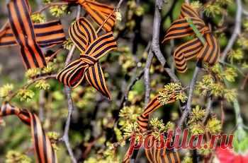 Как завязать георгиевскую ленточку. Схемы. 10 способов