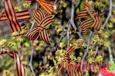 Как завязать георгиевскую ленточку. Схемы. 10 способов