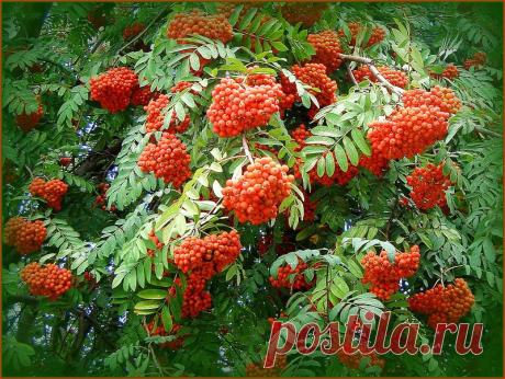 h-2883.jpg (800×601)