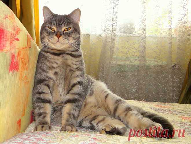 Разбудили...