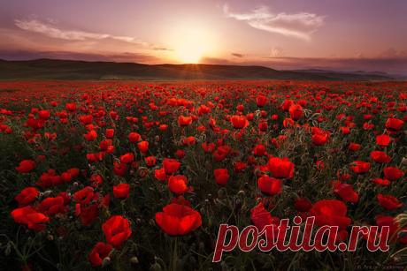 Валерий Дунаев - Боровичи, Новгородская обл., Россия, 74 года на Мой Мир@Mail.ru