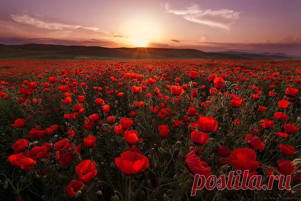 Валерий Дунаев - Боровичи, Новгородская обл., Россия, 74 года на Мой Мир@Mail.ru
