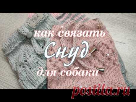 Как связать спицами снуд для собаки
