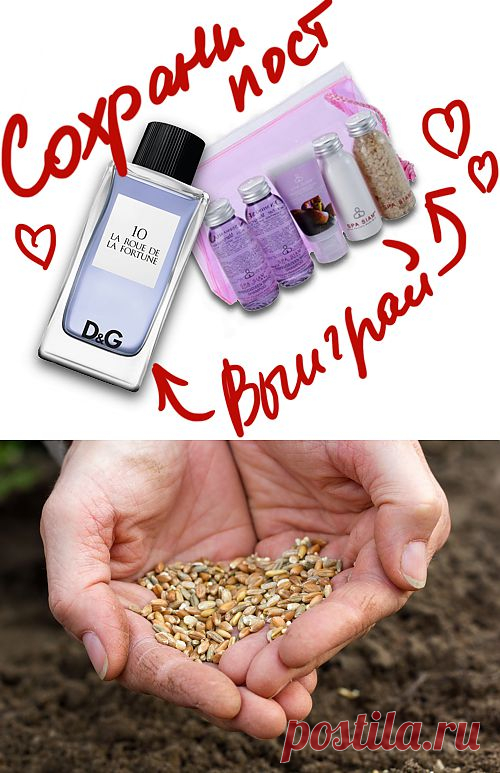 Как правильно посеять овощи под зиму. Сохраните любой пост с сайта 7dach.ru в Постиле и выиграйте призы от интернет-магазина Клуб Красоты. Чем больше постов - тем выше шансы. Розыгрыш состоится в понедельник, 30 января. В акции участвуют все посты, которые содержат этот текст или фото призов!