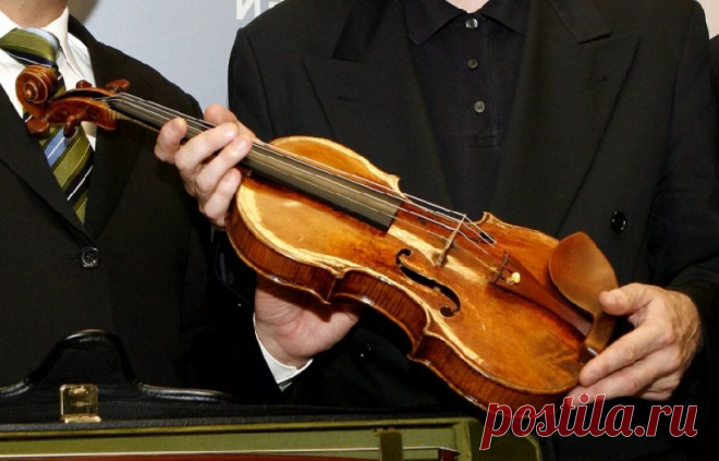 Швейцарским ученым удалось создать скрипку Страдивари при помощи древесных грибов | Наука и технологии