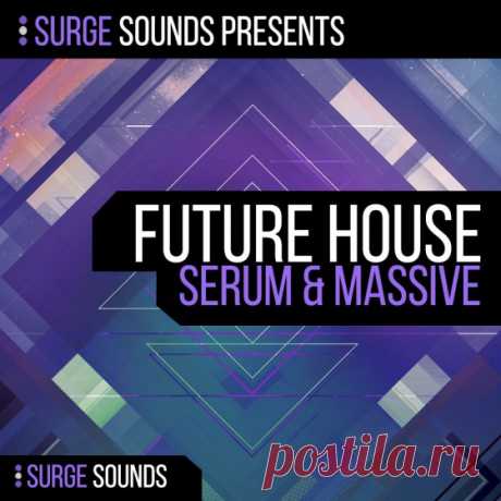 Surge Sounds Future House For NATiVE iNSTRUMENTS MASSiVE AND XFER RECORDS SERUM | 61.7MB
Surge Sounds - Future House Serum &amp; Massive is a cutting edge soundset packed with innovative and aggressive sounds. The team behind Surge Sounds is always striving to provide top notch and extraordinary presets that will push the current boundaries.

Download at:

https://audioclub.store/uncategorized/surge-sounds-future-house-for-native-instruments-massive-and-xfer-records-serum/