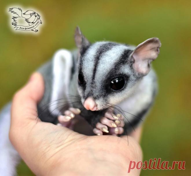 Sugar glider (petaurus breviceps) toy by YuliaLeonovich on DeviantArt