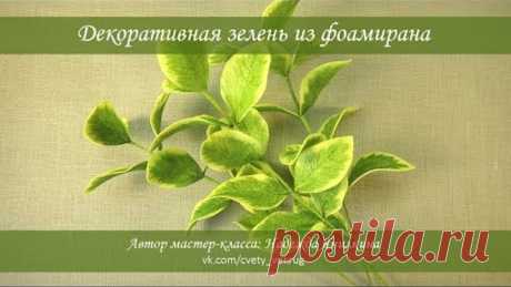 Декоративная зелень из фоамирана мастер-класс