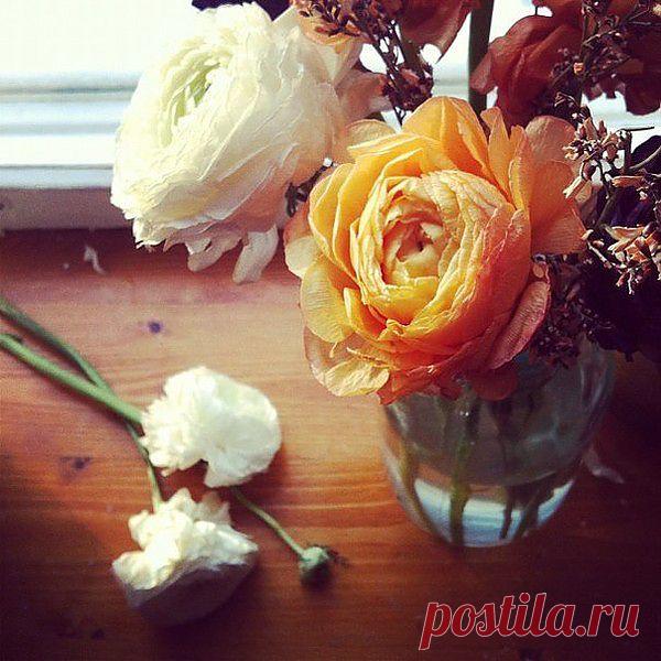 Мой Мир@Mail.Ru