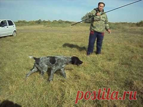 Щенок  Фортуна.