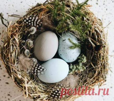 Осенние поделки из природного материала: быстро и красиво. Идеи для начальной школы и детского сада