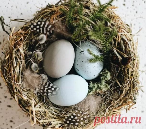 Осенние поделки из природного материала: быстро и красиво. Идеи для начальной школы и детского сада