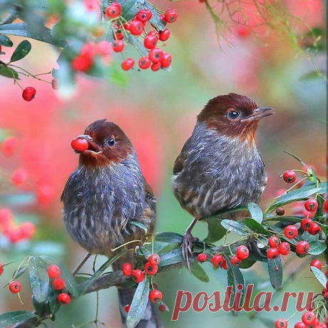 #grikart_macro
🌟
Photo by 📷@joinus12345
🌟
Congratulations 👏
🌟
Photo selected by 👓 @yavuzarslan334
🌟
Follow 📷 @grikart_macro
🌟
Tag 📷 #grikart_macro

#amazing_macro #idmacro #picturetokeep_macro #igworldclub_macro #macro_brilliance #ir_flowers_macro #macroandflora #macro_spotlight #macro_of_our_world #df_macro #loves_united_macro #hot_macros #igglobalclubmacro #fotofanatics_macro_ #loves_flowers_ #bestshotz_flowers #splendid_flowers #kf_macro #nusa_macro #photoflai...