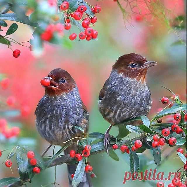 #grikart_macro
🌟
Photo by 📷@joinus12345
🌟
Congratulations 👏
🌟
Photo selected by 👓 @yavuzarslan334
🌟
Follow 📷 @grikart_macro
🌟
Tag 📷 #grikart_macro

#amazing_macro #idmacro #picturetokeep_macro #igworldclub_macro #macro_brilliance #ir_flowers_macro #macroandflora #macro_spotlight #macro_of_our_world #df_macro #loves_united_macro #hot_macros #igglobalclubmacro #fotofanatics_macro_ #loves_flowers_ #bestshotz_flowers #splendid_flowers #kf_macro #nusa_macro #photoflai...