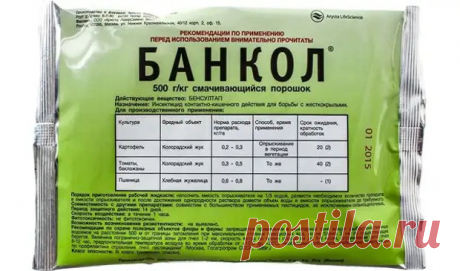 (99+) Как бороться со щитовкой на комнатных растениях - Цветочки - 5 декабря - 43622024097 - Медиаплатформа МирТесен