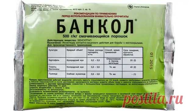 (99+) Как бороться со щитовкой на комнатных растениях - Цветочки - 5 декабря - 43622024097 - Медиаплатформа МирТесен