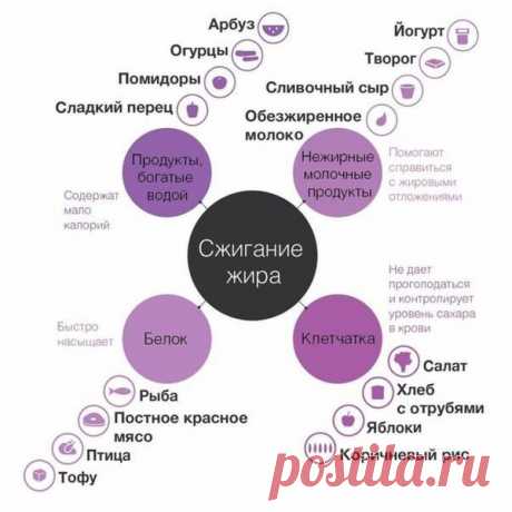 ПОЛЕЗНЫЕ КАЧЕСТВА ПРОДУКТОВ