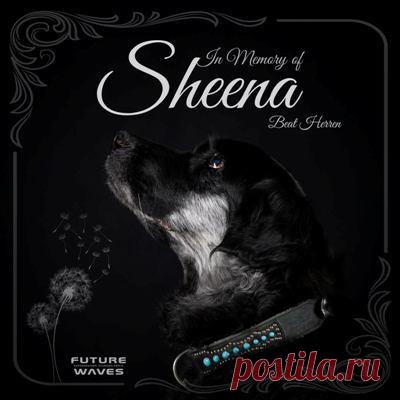 Beat Herren – In Memory of Sheena