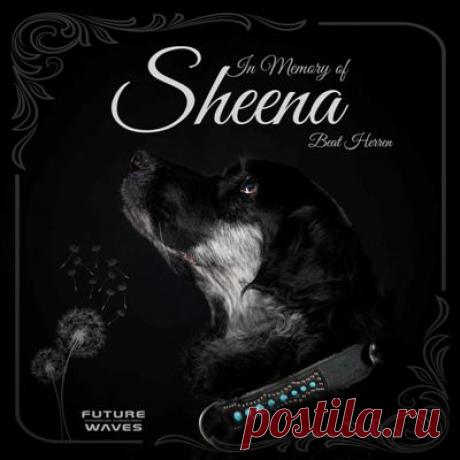 Beat Herren – In Memory of Sheena