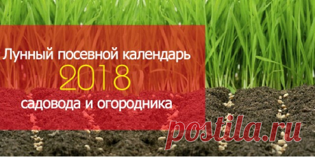 Полезные советы