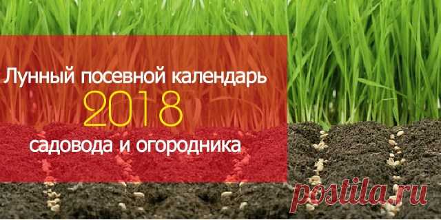 Полезные советы