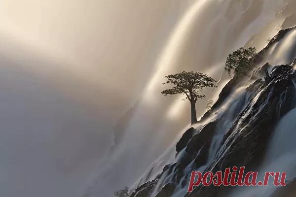 13 лучших фото дикой природы, от которых захватывает дух - 17.11.2021, Sputnik Кыргызстан