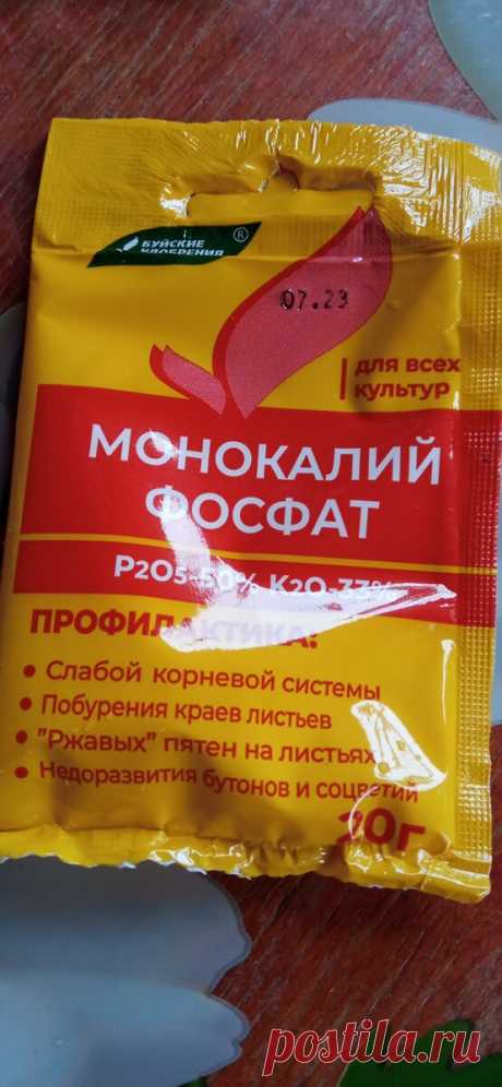 Монофосфат калия - личные впечатления этого сезона. Полезные ссылки и разборы | Цветочная няша | Дзен