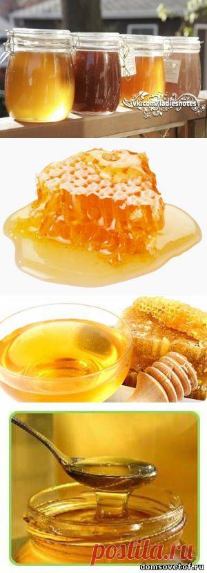 о меде - Самое интересное в блогах