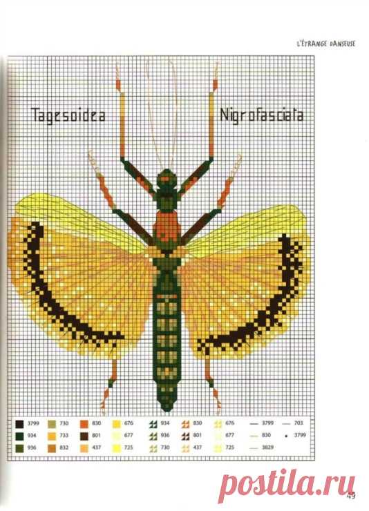 Gallery.ru / Фото #55 - MARABOUT Insects - tatasha
