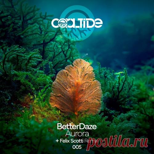 Download BetterDaze - Aurora Label Coral Tide Styles Progressive House, Organic House / Downtempo Date 2025-03-07 Catalog # CT005 Length 15:14 Tracks 2