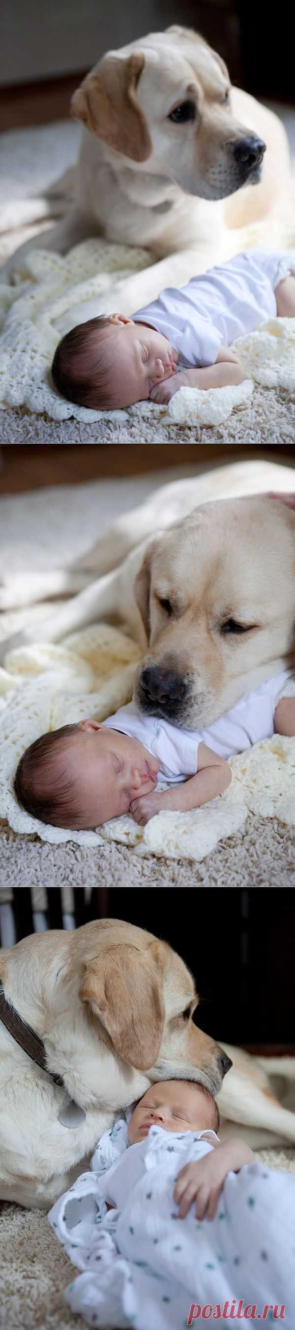 The Frosted Petticoat: Baby's Best Friend