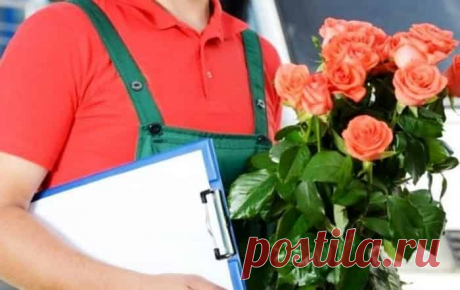 В статье рассказывается про преимущества доставки цветов на дом в Воронеже и других городах РФ, чем популярна услуга доставки цветов онлайн