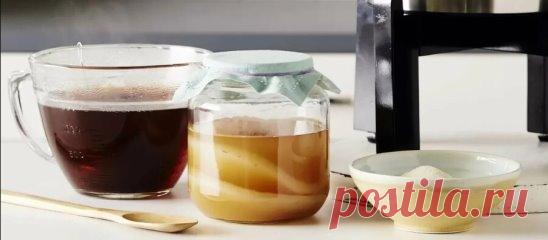 Как вырастить чайный гриб
Чайный гриб, или по-другому его еще называют комбуча, легко размножается делением. Мини-завод по производству этого чудодейственного средства может организовать на своей кухне каждая хозяйка. Итак, запасаемся терпением, листовым чаем, сахаром и жизнеспособной пластиной медузомицета. Из вспомогательных принадлежностей потребуются: стеклянная емкость, марлевая ткань, воронка и сито.
В этой статье мы подробно расскажем, как правильно выращивать чайный гриб в домашних усло